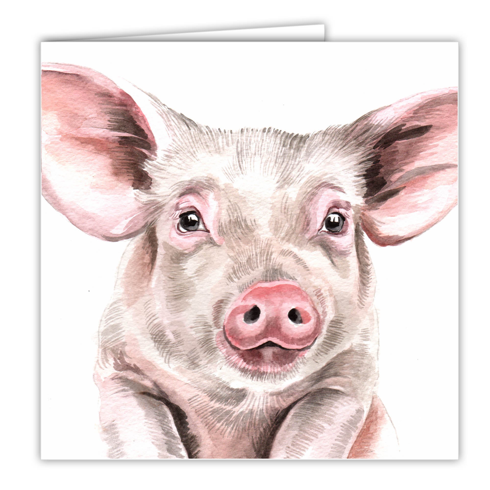 Pig Card