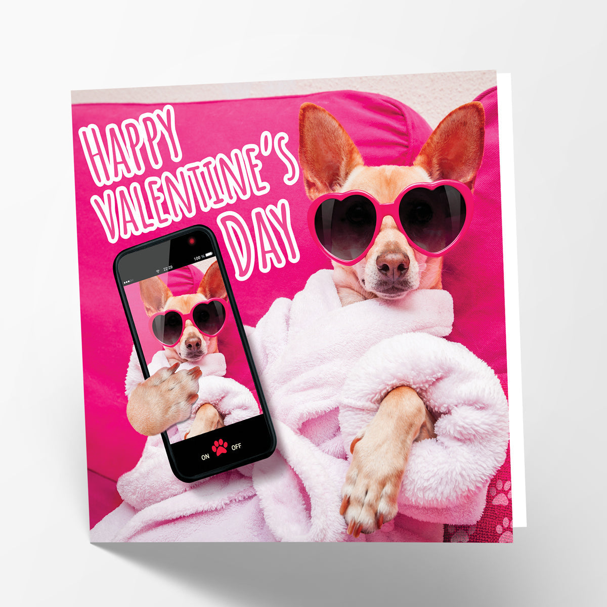 Valentines Day Posh Dog