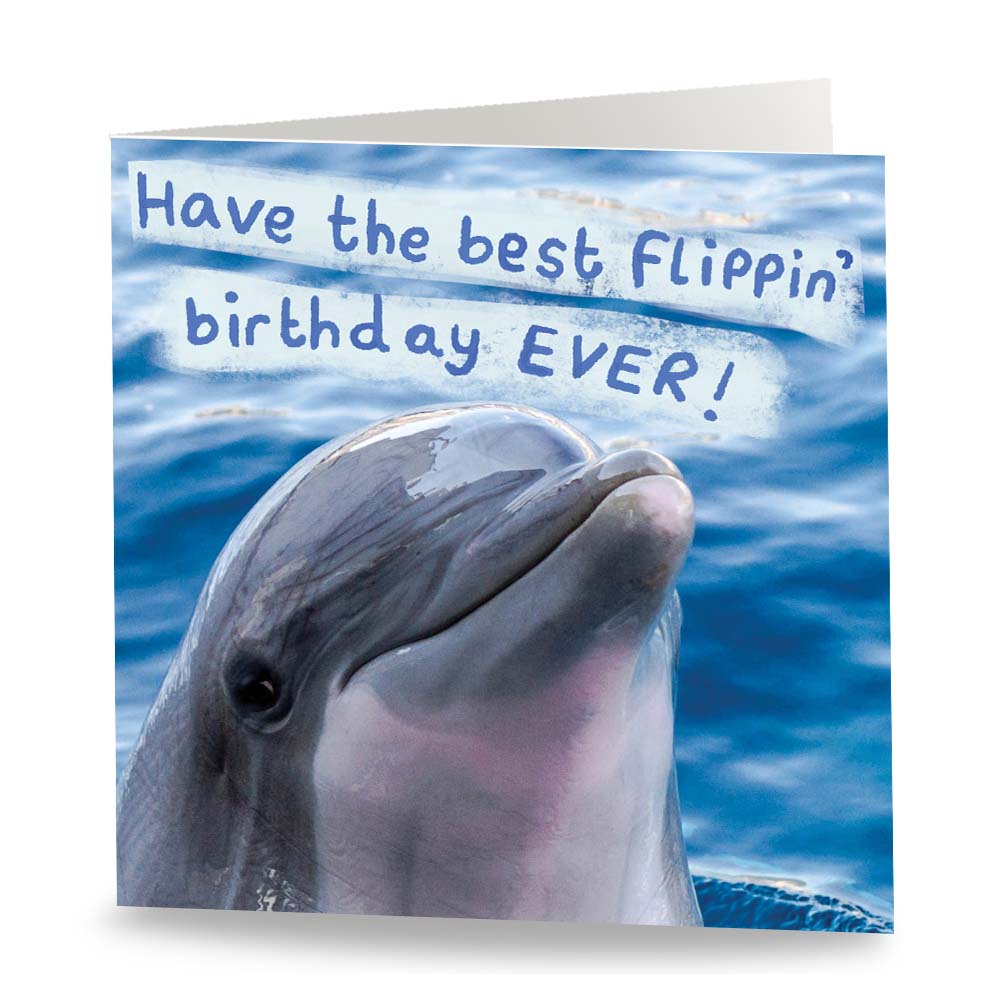 Flippin&#39; Birthday Dolphin Card Front