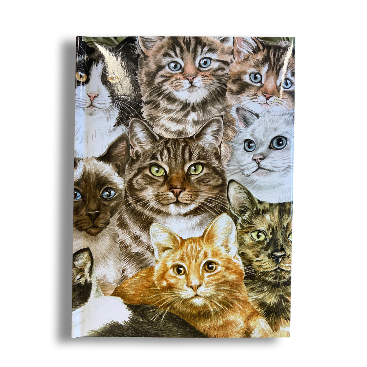 Cats Montage Notebook A5 Cover