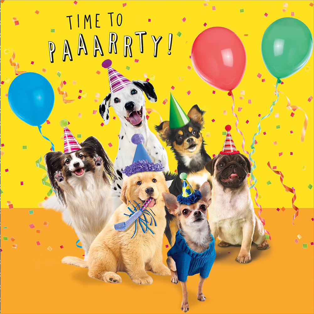 Time To Party! Birthday Greetings Card