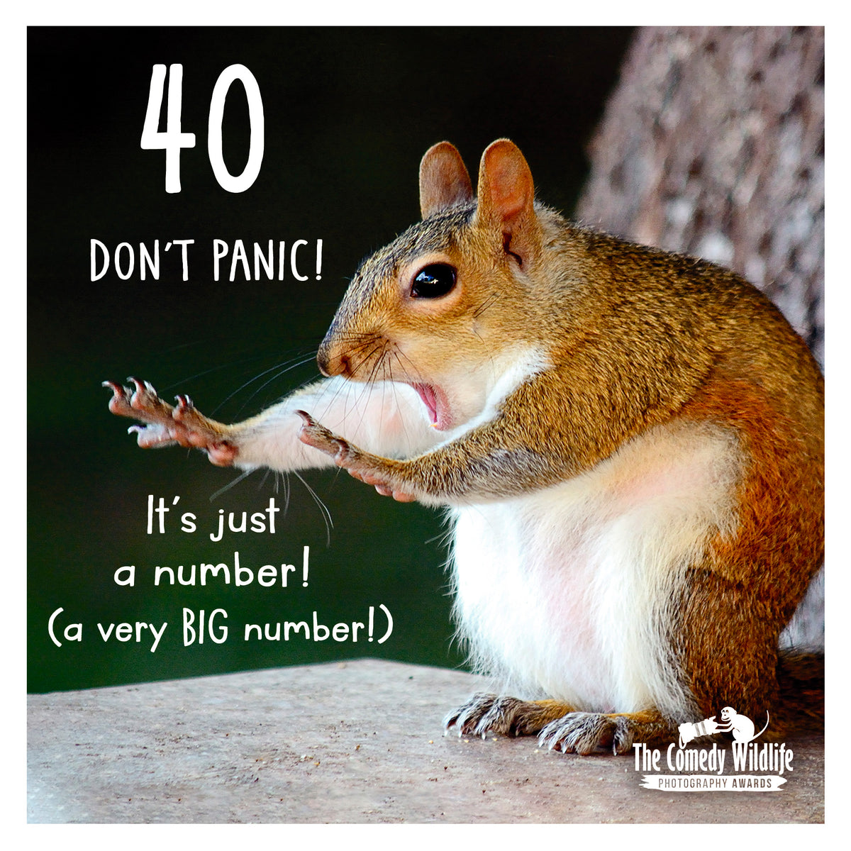 40 Don&#39;t Panic! Birthday Greetings Card