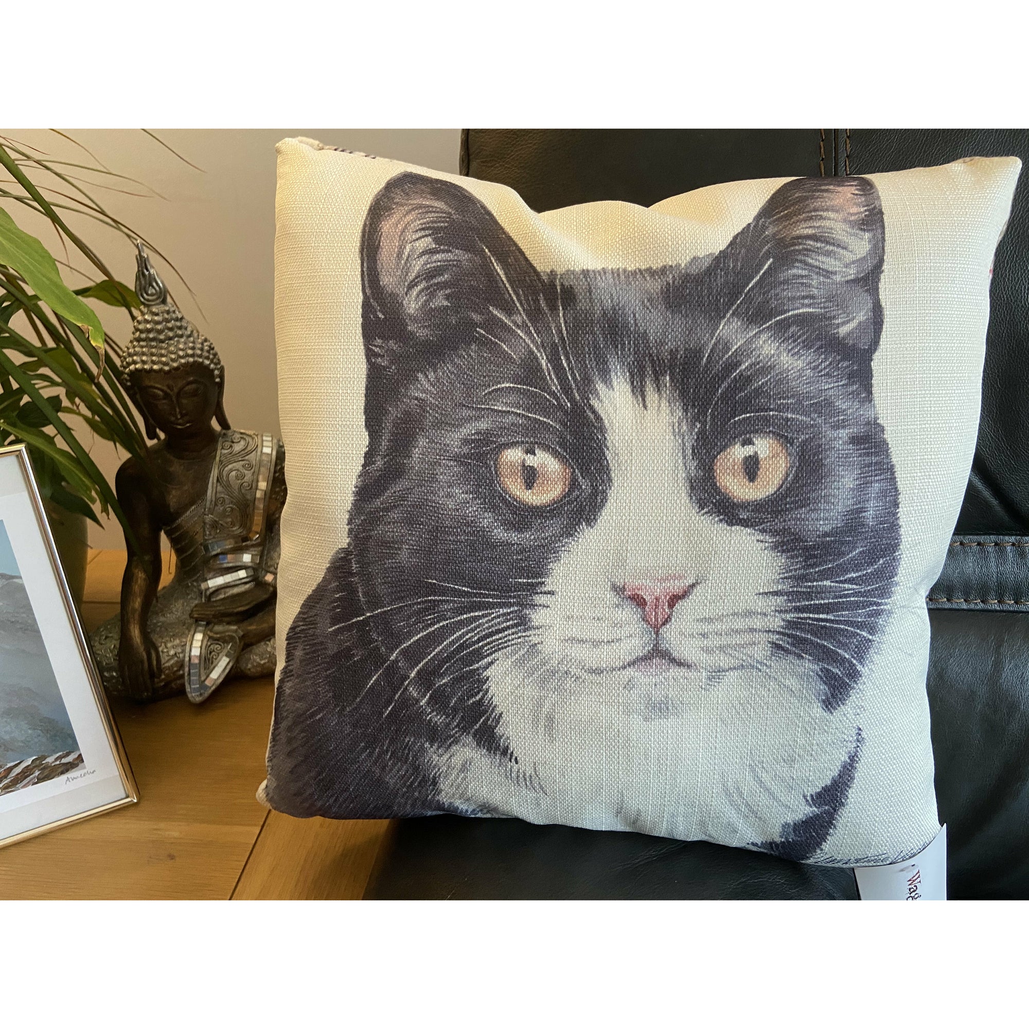 Black and White Cat Cushion