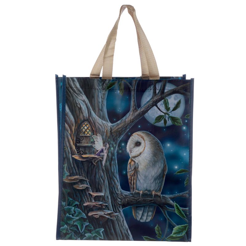 Lisa Parker Fairy Tales Owl and Fairy Reusable Shopping Bag